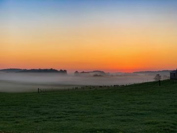 Westminster Sunrise