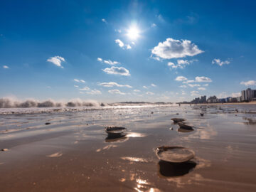 Revere Beach – Boston, MA